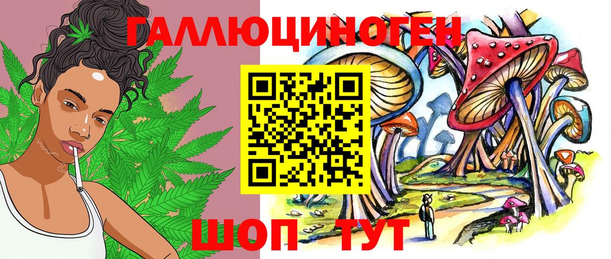 Галлюциногенные грибы Psilocybe Благовещенск